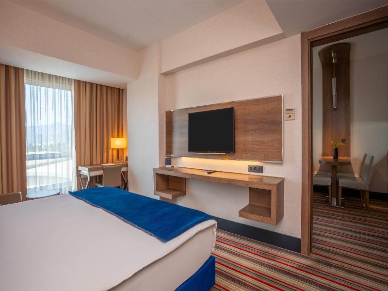 Ramada Plaza By Wyndham Izmir - Oda