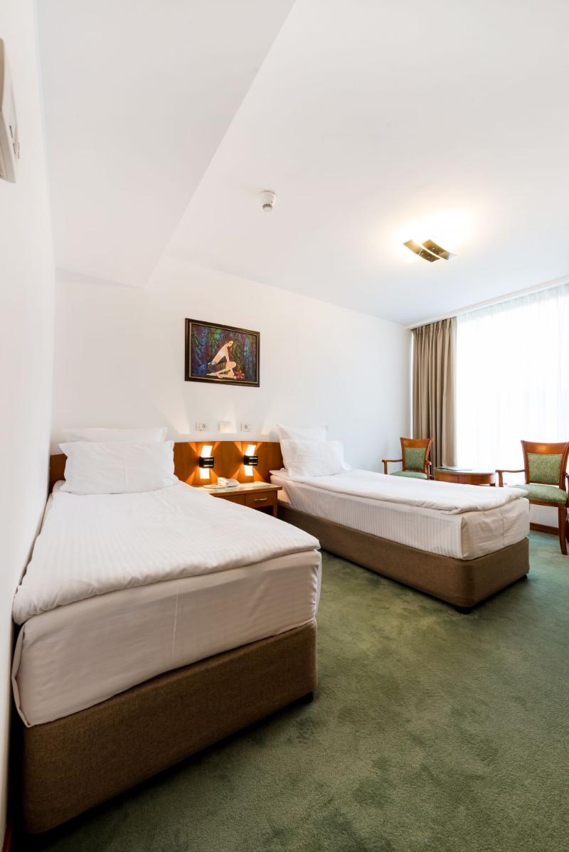 Duke Hotel Romana - Oda
