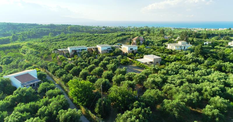 Conte Marino Villas - Genel