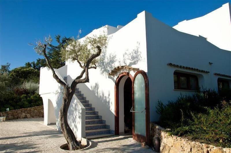 Baia Delphis Resort - Genel