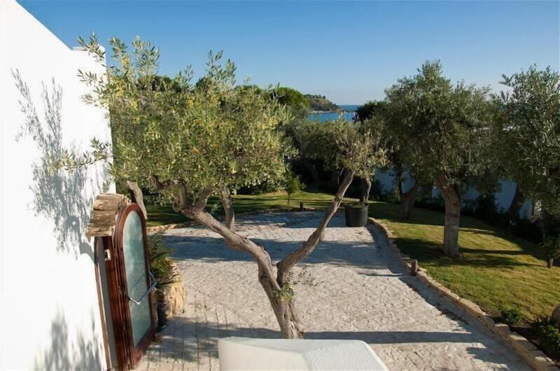 Baia Delphis Resort - Genel