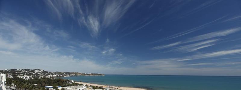 Dar El Marsa Hotel & SPA - Genel