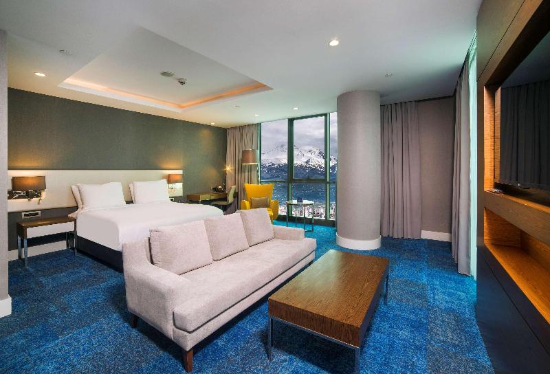 Radisson Blu Hotel Kayseri - Oda
