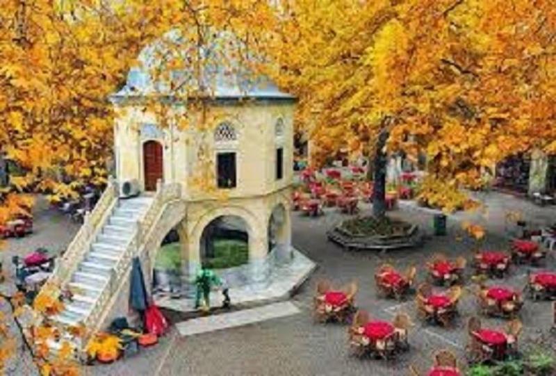 Bursa Palas Hotel - Genel