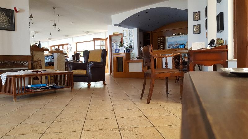 Amazones Sun - Genel