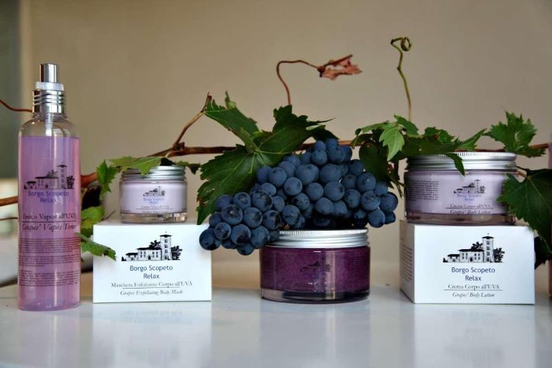 Borgo Scopeto Wine & Country Relais - Aktivite