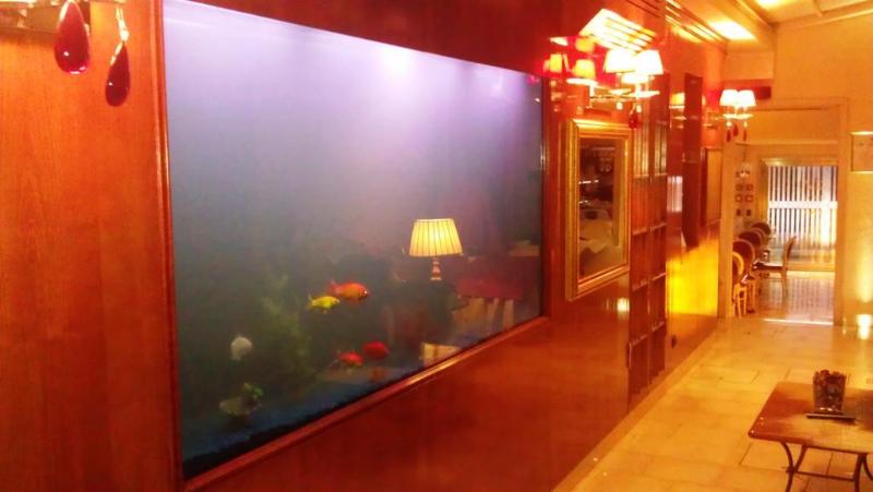 Alcyone Hotel Venice - Genel