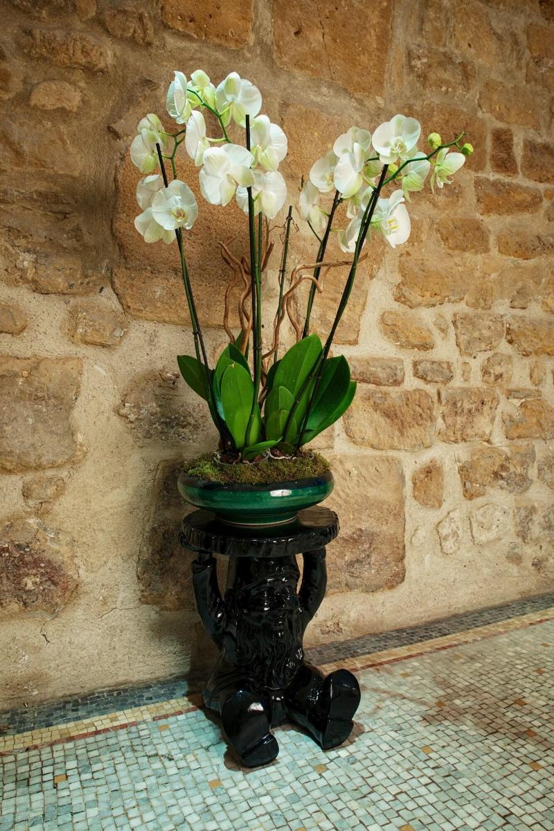 Hotel Le Clos Notre Dame - Lobi