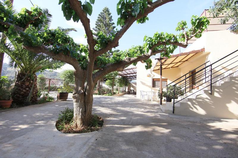 Mitsis Bali Paradise - Aktivite