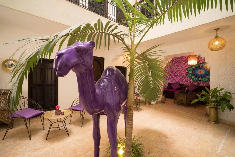 Riad Houdou - Genel