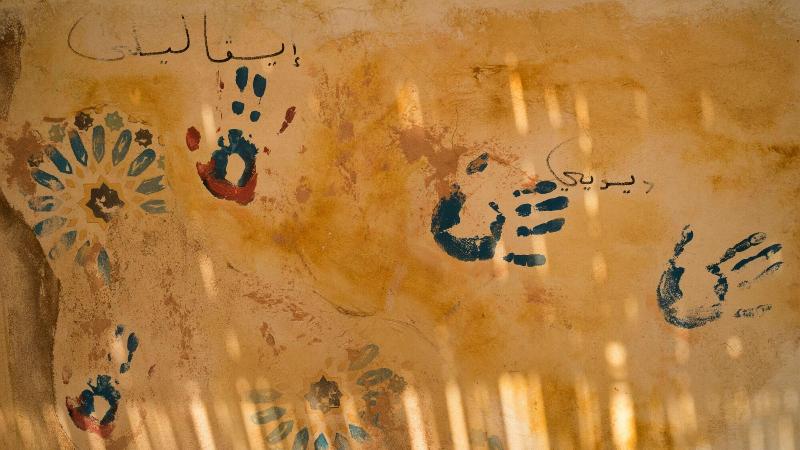 Riad Houdou - Genel