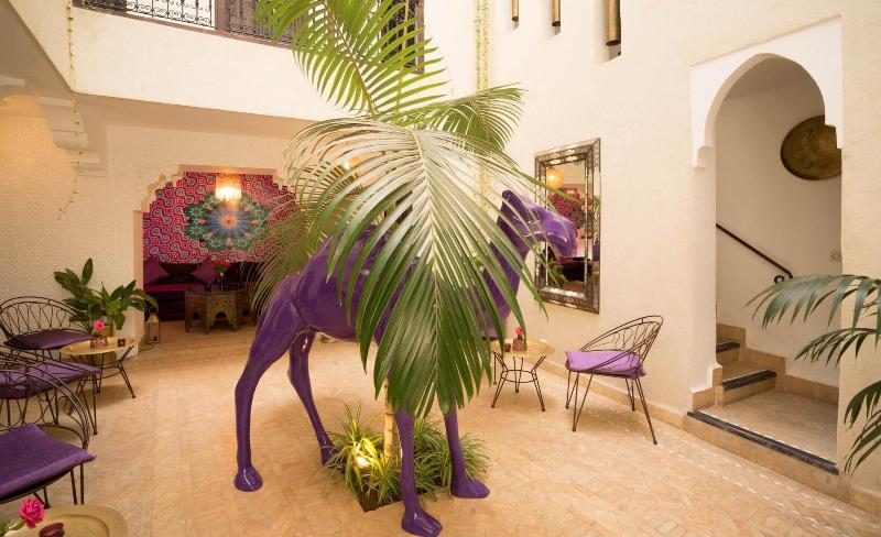 Riad Houdou - Genel