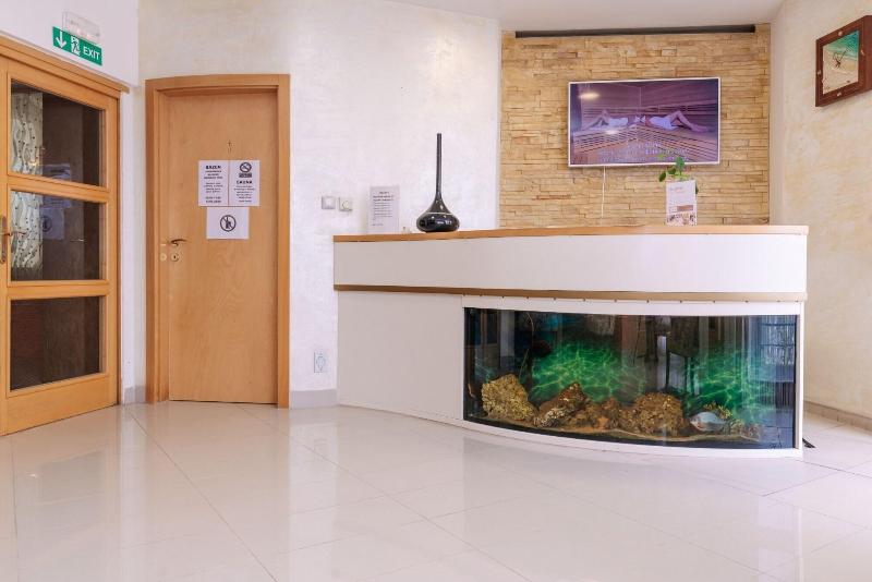 Hotel Ambiente Wellness & Spa   Karlovy Vary - Aktivite