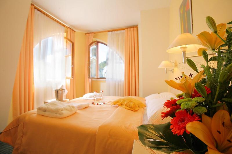 Hotel Ambiente Wellness & Spa   Karlovy Vary - Oda