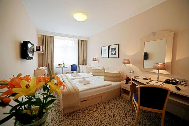 Hotel Ambiente Wellness & Spa   Karlovy Vary - Oda