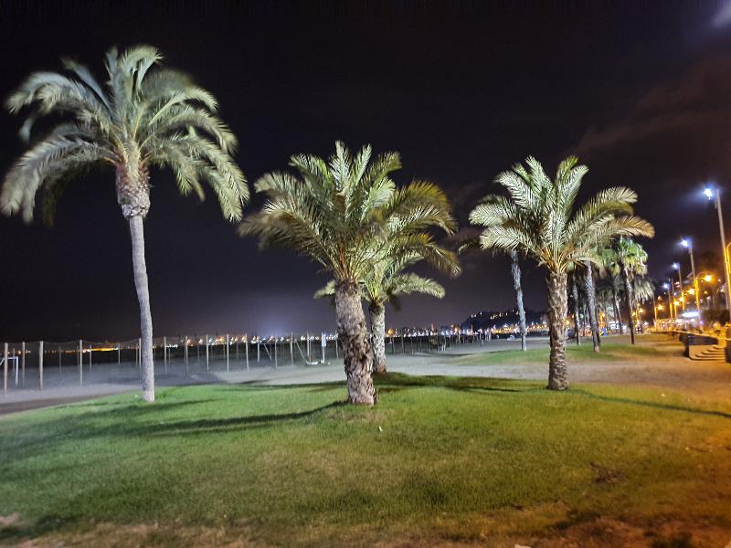 Hostal El Nogal - Plaj