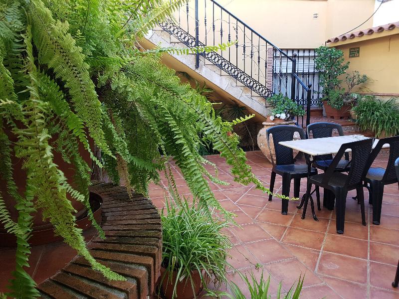 Hostal El Nogal - Teras