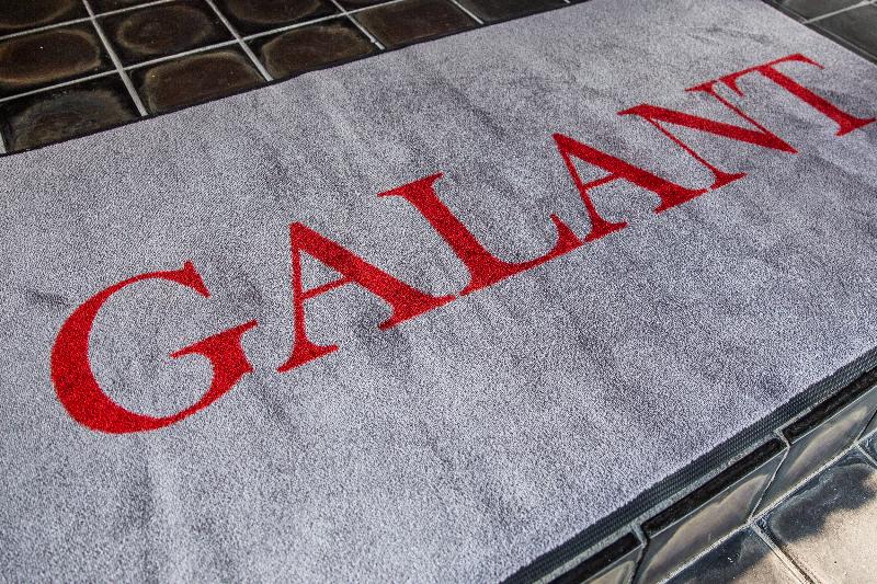 Hotel Galant - Venaria Reale - Genel