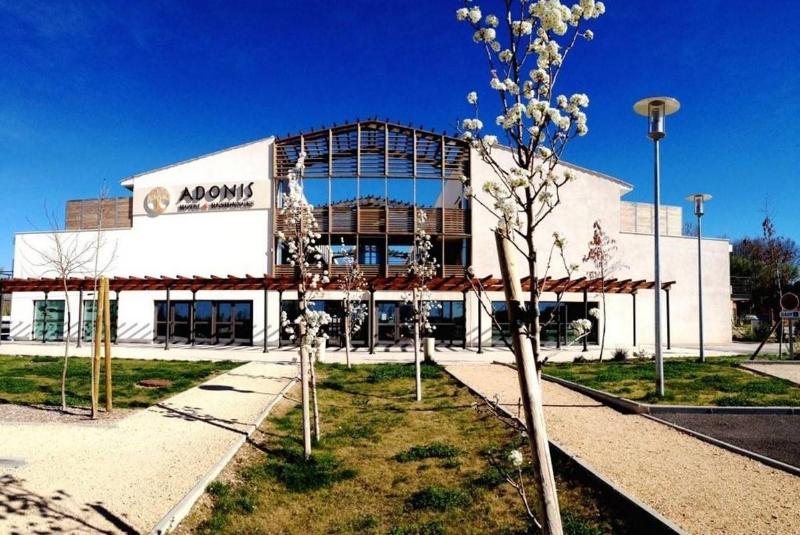 Adonis Aix En Provence - Genel