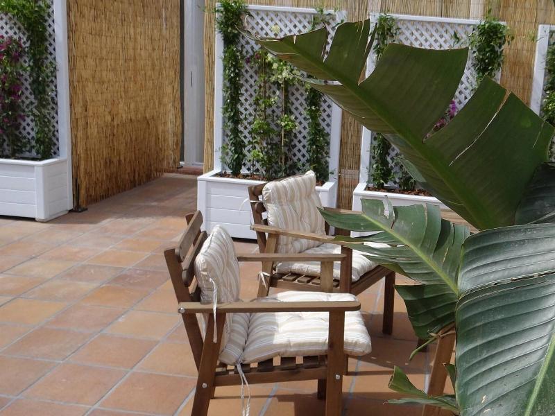 Hostal Balkonia - Teras