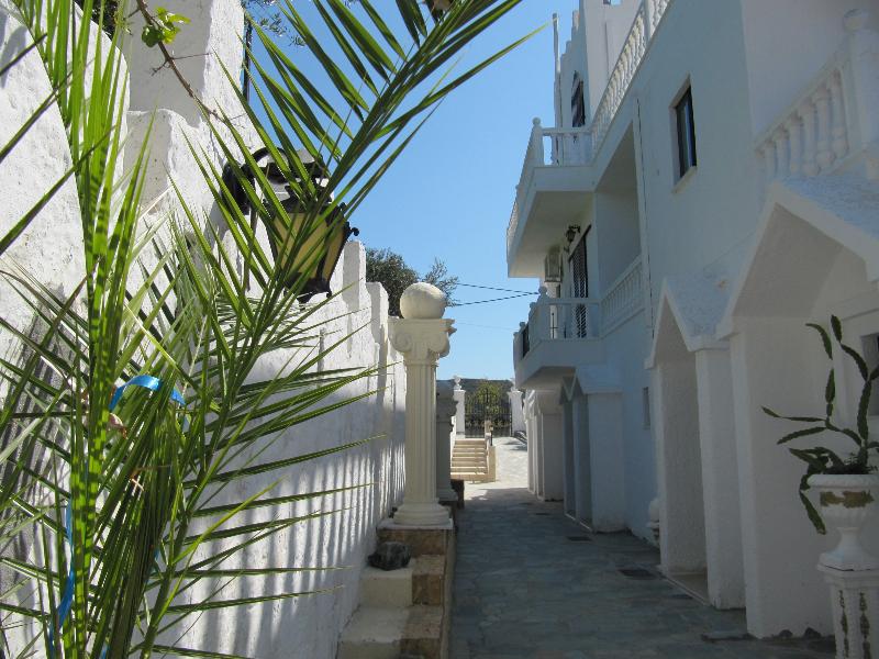 Castellino Studios - Oda