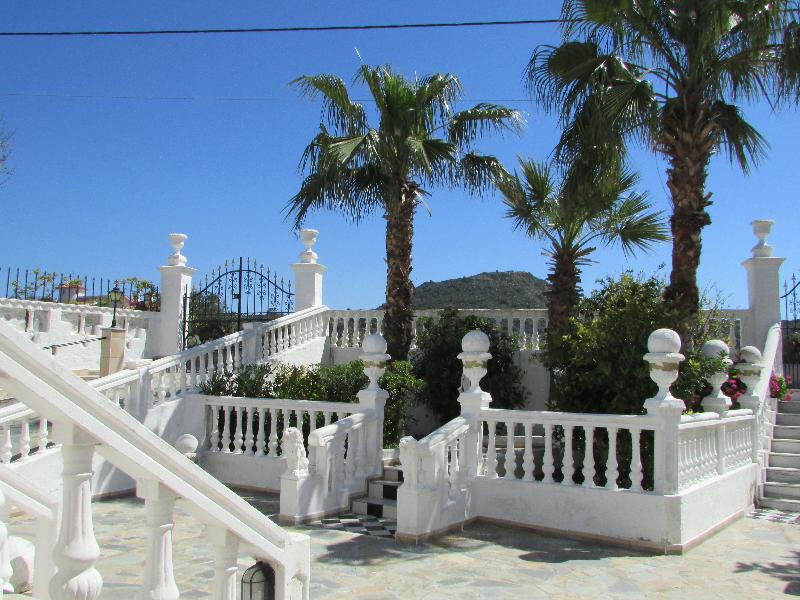 Castellino Studios - Oda