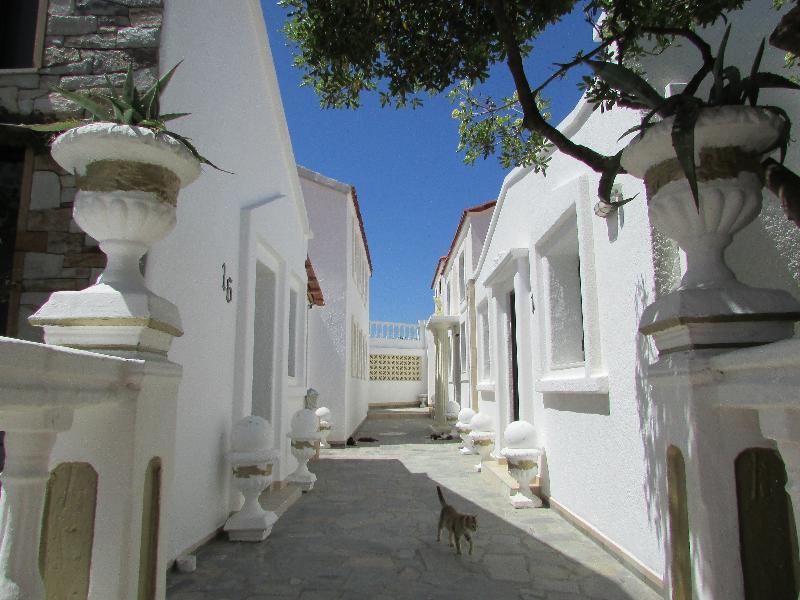 Castellino Studios - Oda