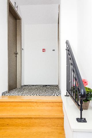 Marul fotoÄŸrafÄ±