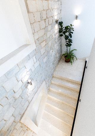 Marul fotoÄŸrafÄ±