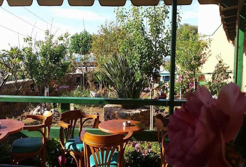 Sunny Hill – Adults only 16+ - Bar