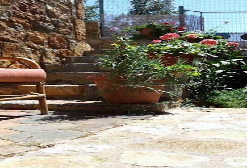Sunny Hill – Adults only 16+ - Bar
