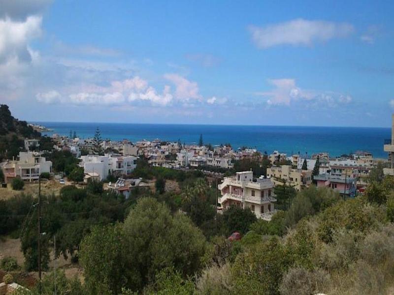 Sunny Hill – Adults only 16+ - Genel