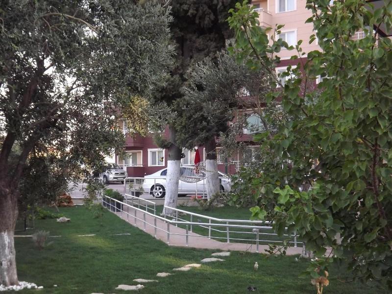 Zılelı - Genel