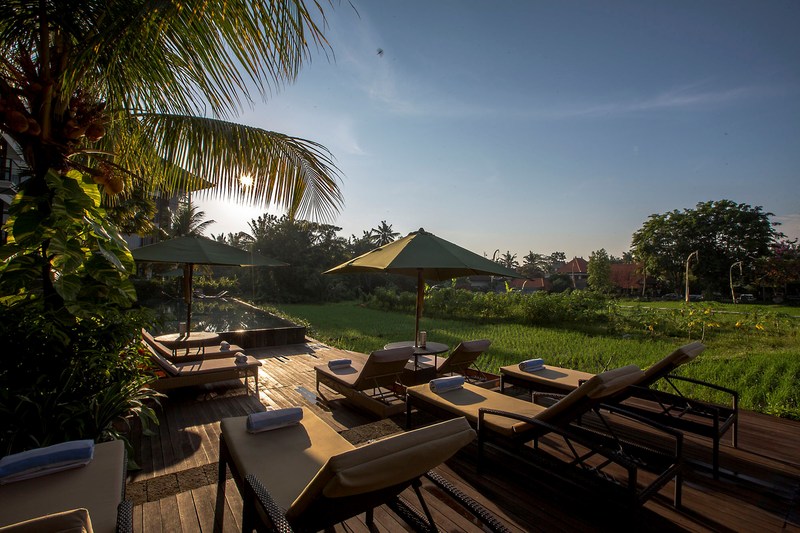 Plataran Ubud Hotel & Spa - Genel