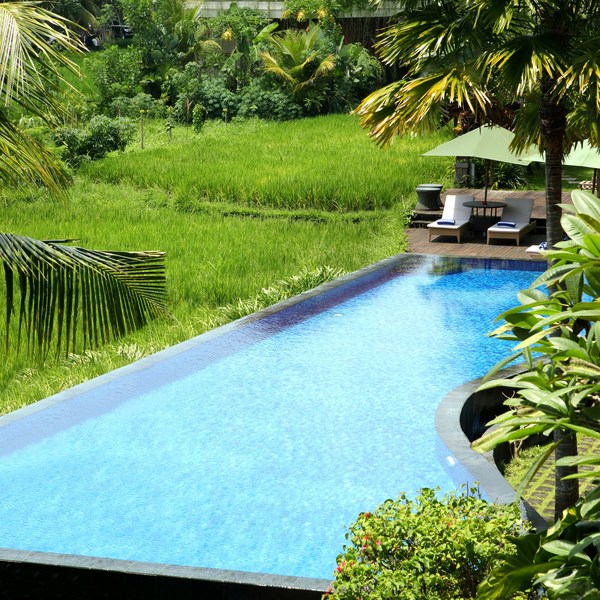 Plataran Ubud Hotel & Spa - Havuz