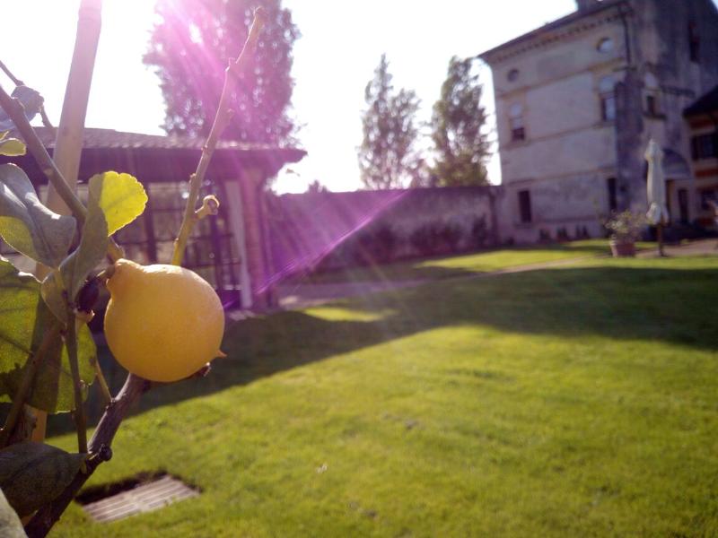 Musella Winery & Country Relais - Lobi