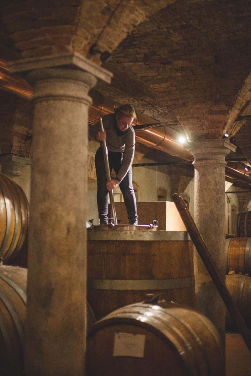 Musella Winery & Country Relais - Aktivite