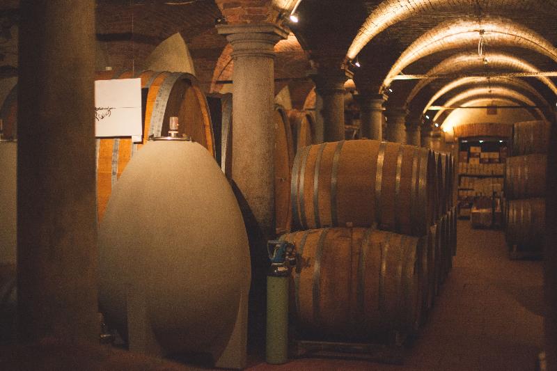 Musella Winery & Country Relais - Aktivite