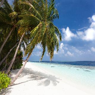 Vilamendhoo Resort fotoÄŸrafÄ±