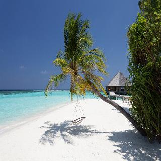 Vilamendhoo Resort fotoÄŸrafÄ±