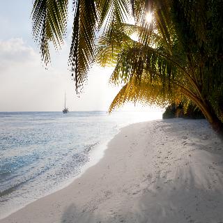 Vilamendhoo Resort fotoÄŸrafÄ±