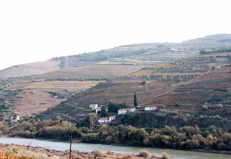 Quinta De Casaldronho Wine Hotel - Genel
