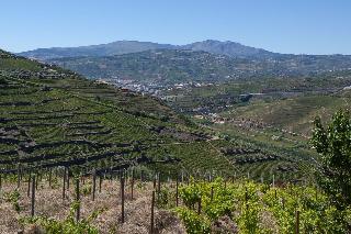 Quinta De Casaldronho Wine Hotel fotoÄŸrafÄ±