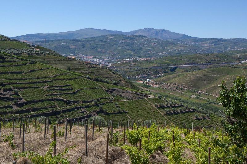 Quinta De Casaldronho Wine Hotel - Genel