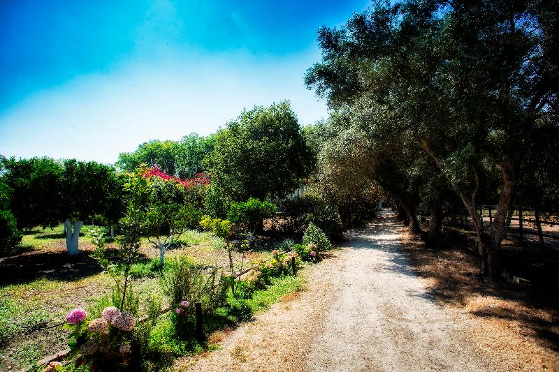 Quinta Da Praia Das Fontes - Aktivite