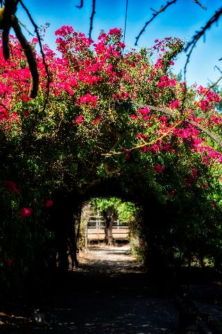 Quinta Da Praia Das Fontes otel fotoğrafı