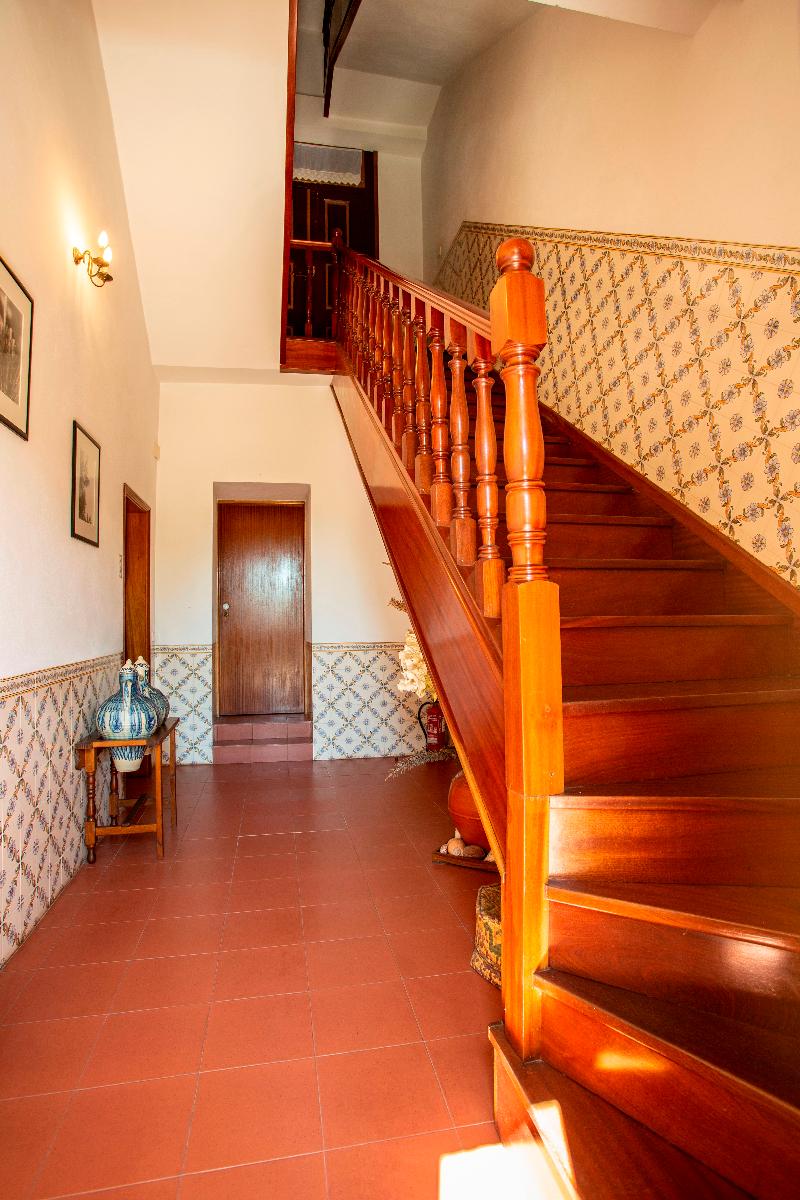 Quinta De S. Caetano - Lobi