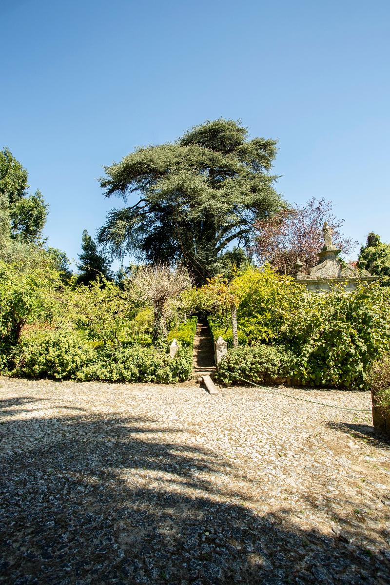 Quinta De S. Caetano - Genel
