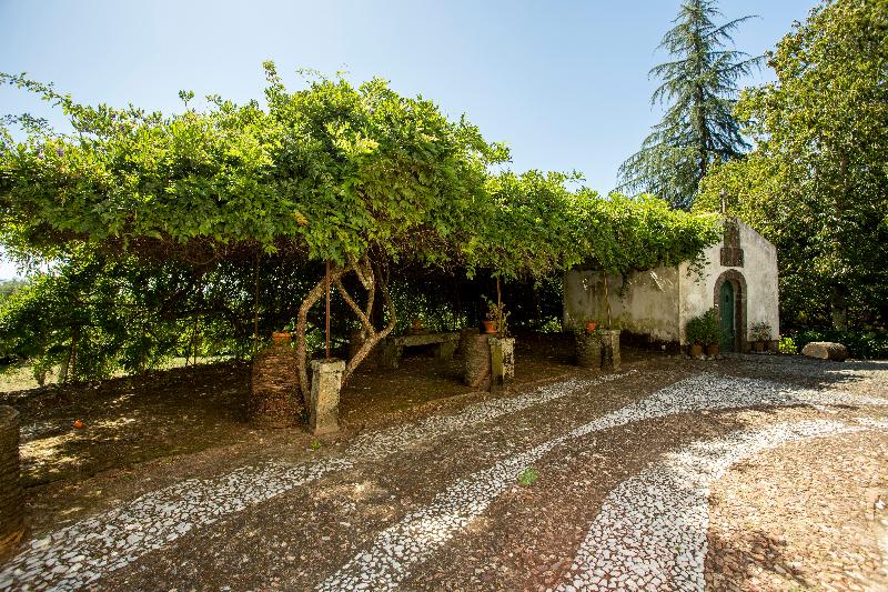 Quinta De S. Caetano - Genel