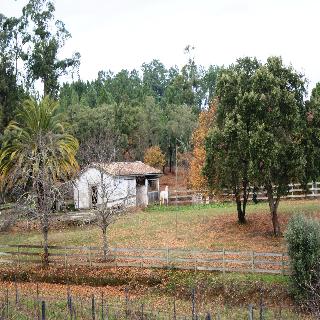 Quinta Do Albergue Do Bonjardim fotoÄŸrafÄ±